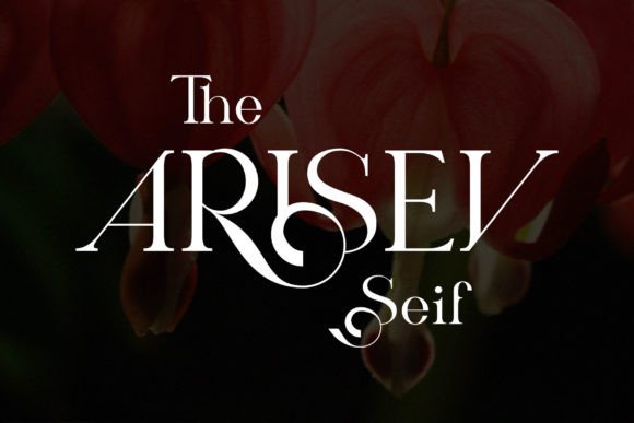 Arisev: A Serif That Earns Its Place
