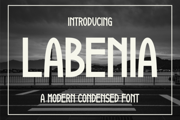 Labenia Font: A Bold, Modern Sans Serif for Real Business Branding