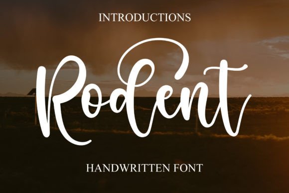 Rodent: A Modern Handwritten Font That Elevates Real Branding