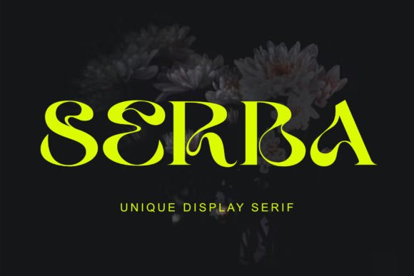 Serba: A Playful Serif Display Font That Delivers Personality